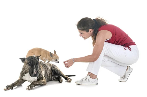 Hunde Und Herrchen Vor Weißem Hintergrund — Stockfoto