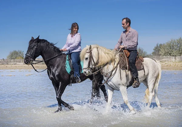 女と男がビーチで彼女の種馬に乗って — ストック写真