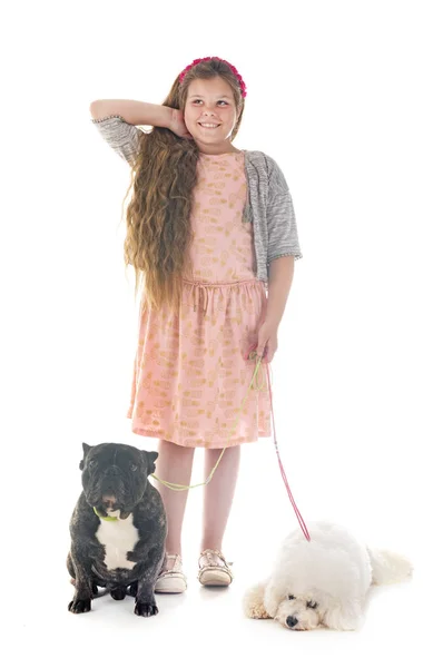 Jong Meisje Met Haar Kleine Honden Studio — Stockfoto