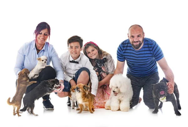 Beautiful Family Standing Littles Dogs — Stock Photo, Image