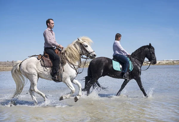 Donna Uomo Cavallo Con Suo Stallone Sulla Spiaggia — Foto Stock