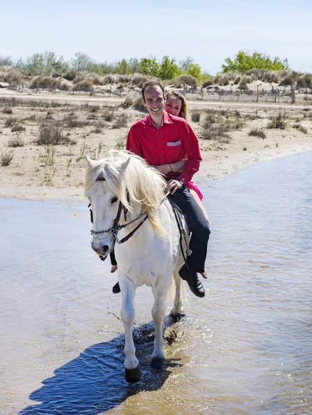 Riding Girl Her Stallion Beach — Stock Photo, Image