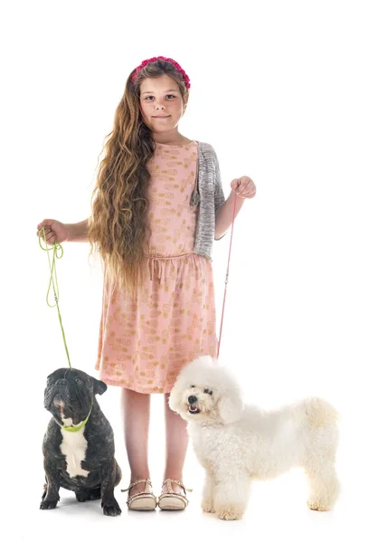 Young Girl Her Little Dogs Studio — Stock Photo, Image