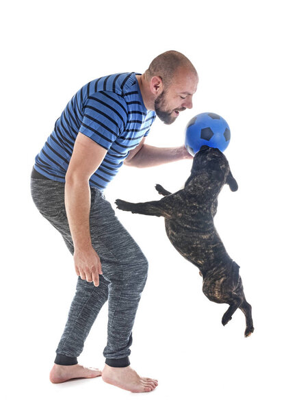 Мужчина играет в футбол со своим французским бульдогом в студии
