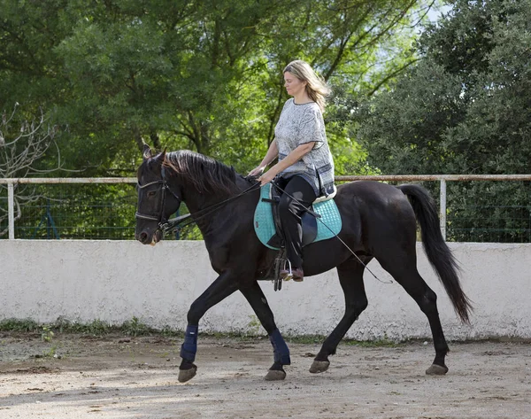 Reiterin Und Ihr Schwarzes Pferd Trainieren — Stockfoto