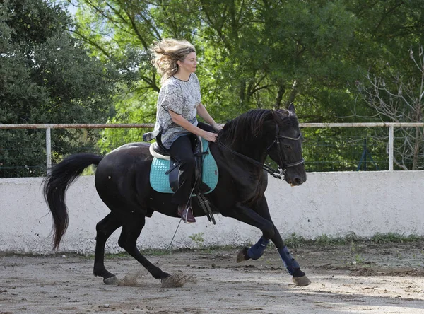 Rider Van Vrouw Haar Zwarte Paard Zijn Opleiding — Stockfoto