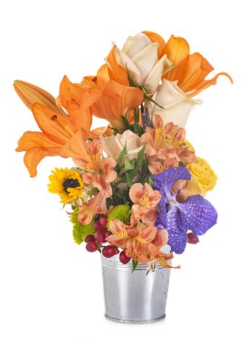 Beyaz arka plan önünde renkli çiçek