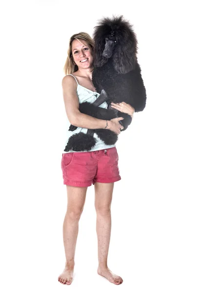 Black Standard Poodle Woman Front White Background — Stock Photo, Image