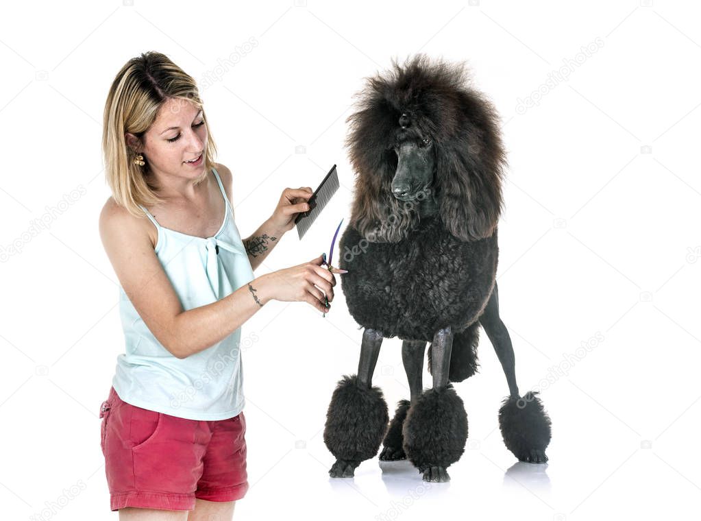 black standard poodle and woman in front of white background