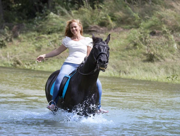 女性ライダーと彼女の黒い馬が川で歩いています — ストック写真