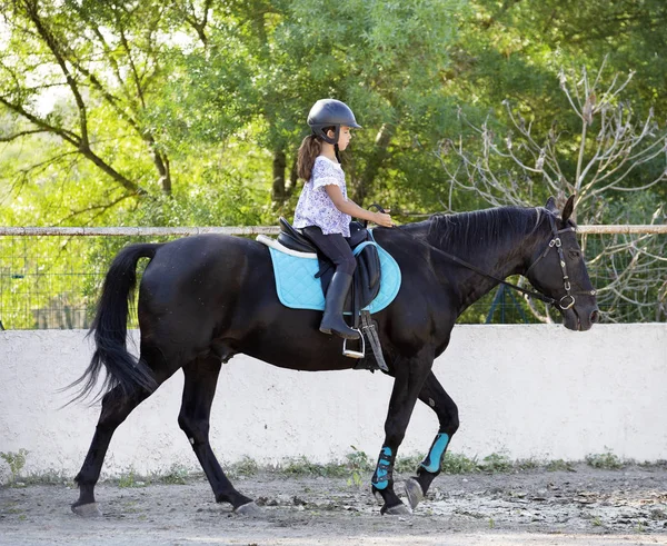 Jovem Equitação Menina Ela Preto Cavalo — Fotografia de Stock