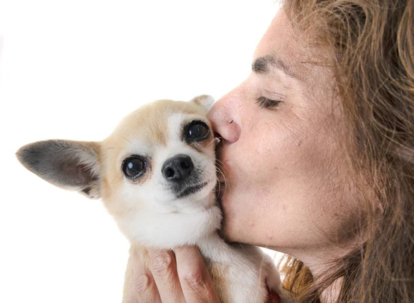 Frau Und Junger Chihuahua Vor Weißem Hintergrund — Stockfoto