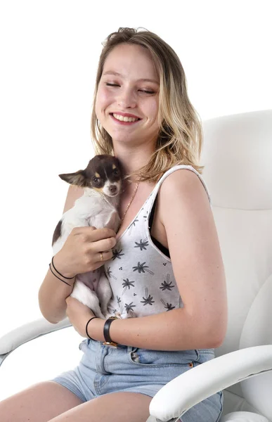 Vrouw Jonge Chihuahua Voor Witte Achtergrond — Stockfoto