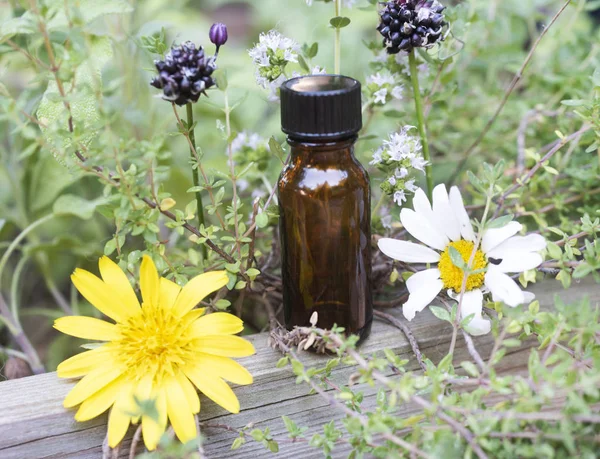 picture of essential oils and plants outdoor