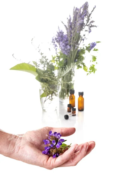 Flower Essential Oils Front White Background — Stock Photo, Image