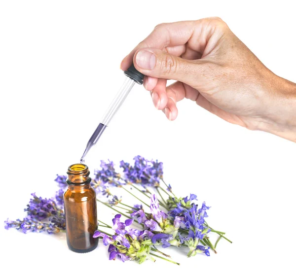 Lavanda Óleos Essenciais Frente Fundo Branco — Fotografia de Stock