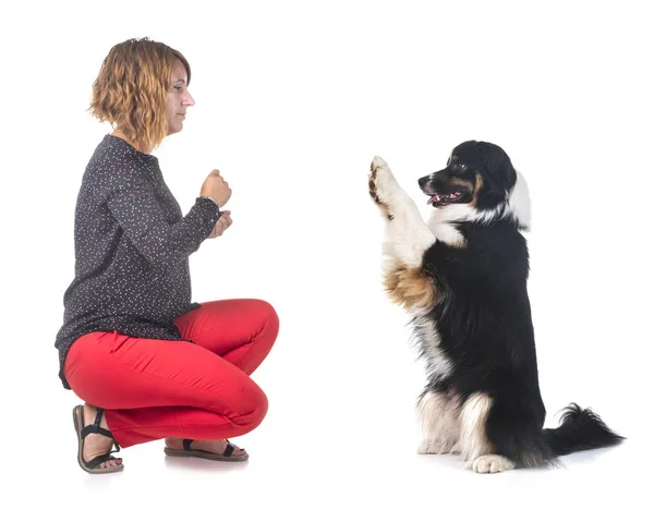 Australische Herder Vrouw Voor Witte Achtergrond — Stockfoto