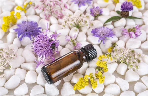 Essential Oils Flowers Stone Background — Stock Photo, Image