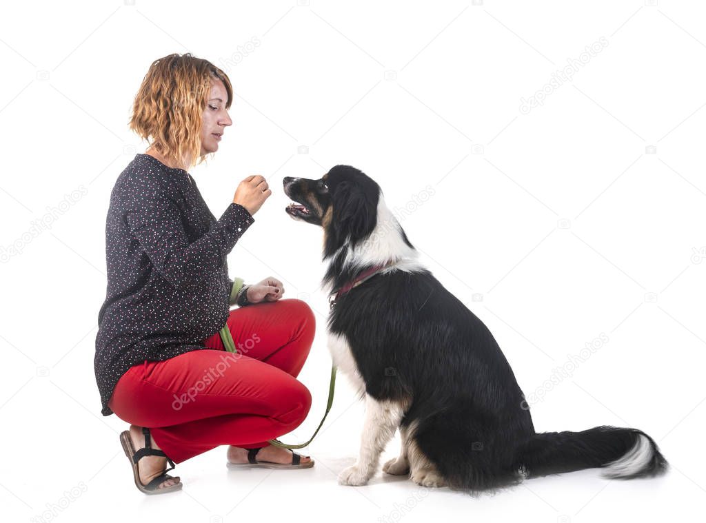 australian shepherd and woman in front of white background
