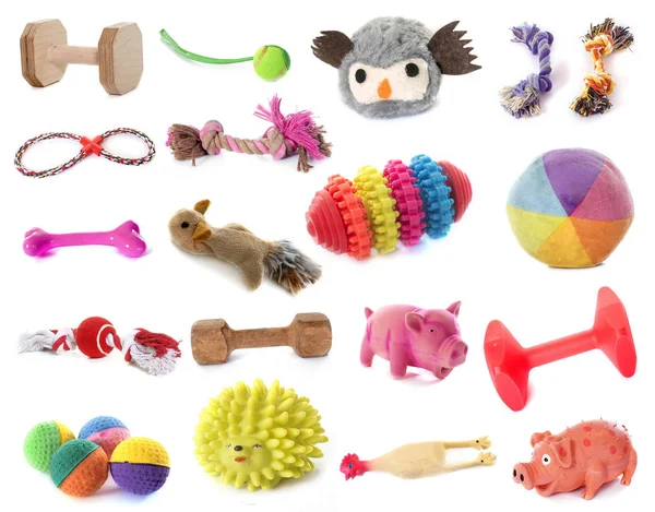 Zabawki Dla Psów Przed Białym Tle — Zdjęcie stockowe