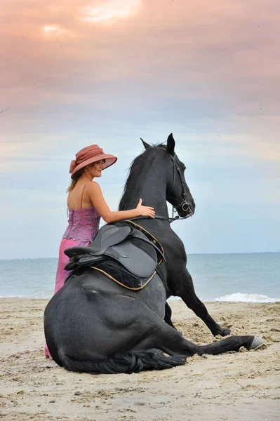 Sitting Stallion Woman Beach — Stock Photo, Image