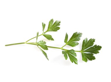 Beyaz arka plan önünde Bahçe maydanoz