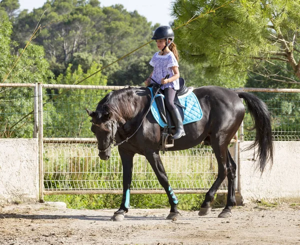 Jazda Młoda Dziewczyna Jej Czarny Koń — Zdjęcie stockowe