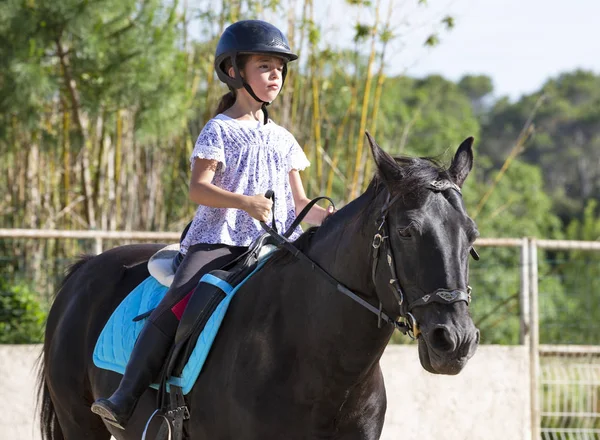 Young Riding Girl Her Black Horse — Stock Photo, Image