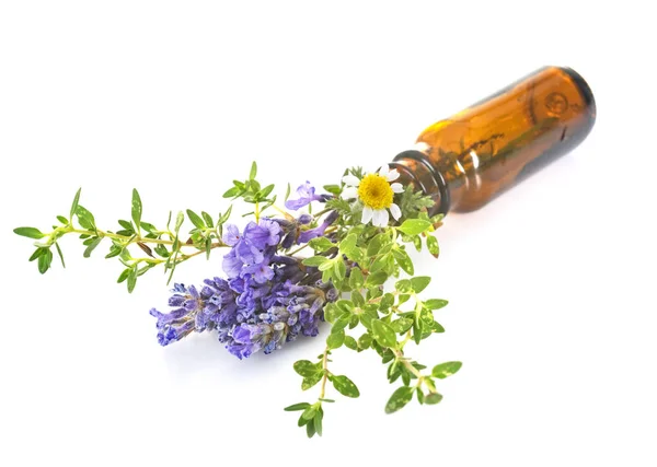 Essential Oils Front White Background — Stock Photo, Image