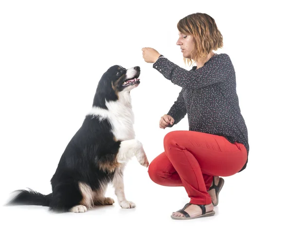 Australischer Schäferhund Und Frau Vor Weißem Hintergrund — Stockfoto