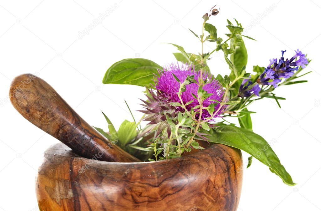 mortar and plants in front of white background