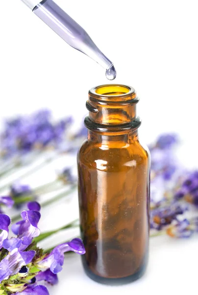 Lavanda Óleos Essenciais Frente Fundo Branco — Fotografia de Stock