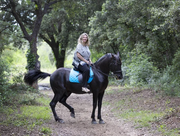 女骑手和她的黑马在大自然中漫步 — 图库照片