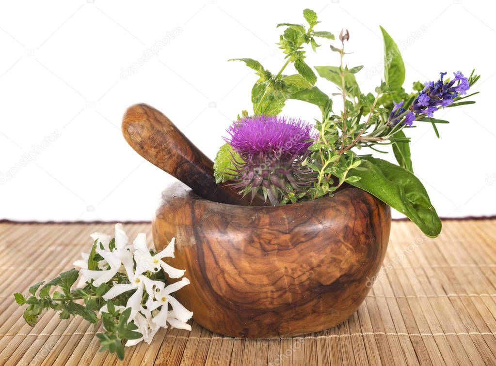 mortar and plants in front of white background