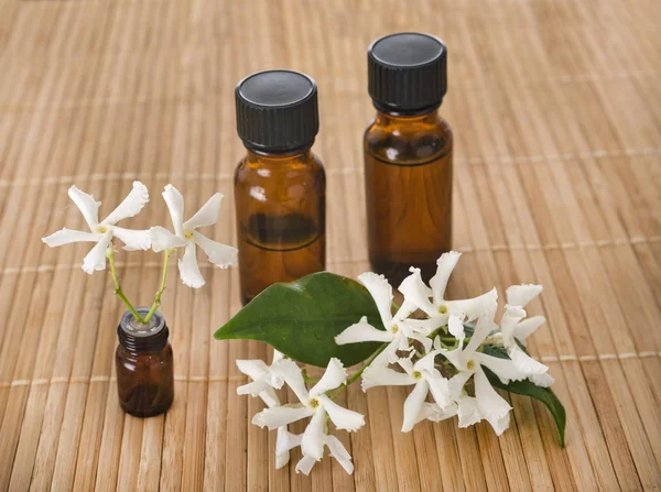 Essential Oils Front White Background — Stock Photo, Image