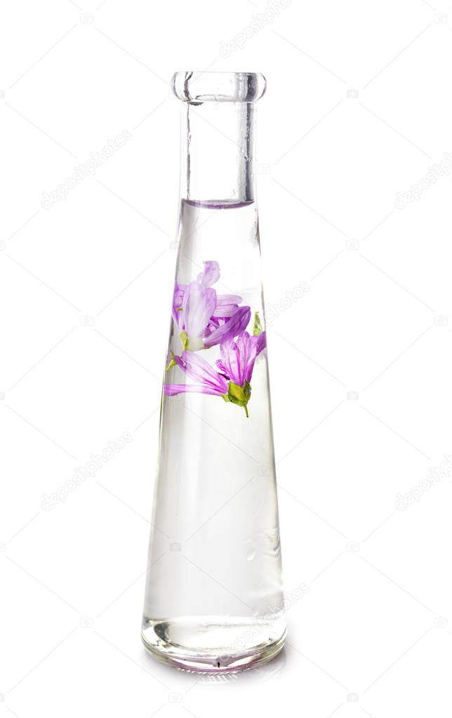 mallow in test tube in front of white background