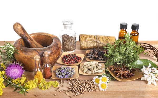 mortar and plants in front of white background