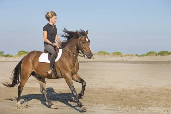 ビーチで彼女の馬の訓練は 女の子に乗って — ストック写真