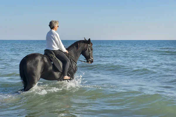 Верховая Езда Девушка Тренирует Свою Лошадь Пляже — стоковое фото