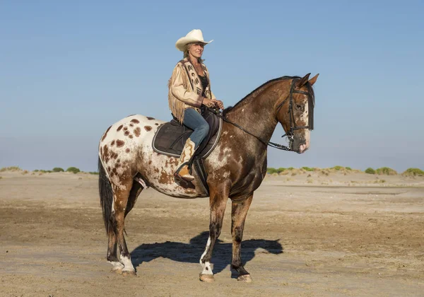 Equitação Menina Estão Treinando Seu Cavalo Praia — Fotografia de Stock