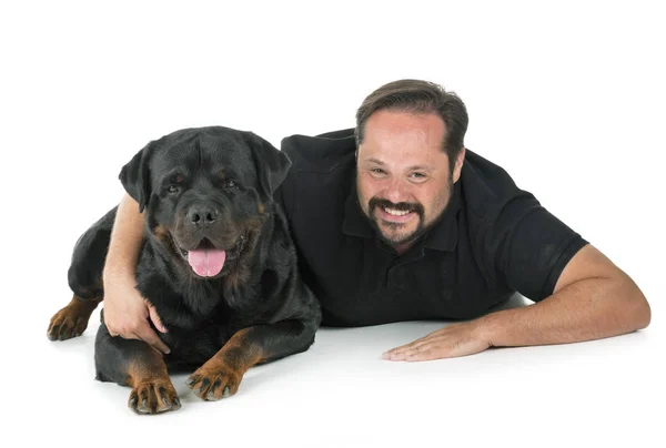 Raszuivere Rottweiler Man Voor Witte Achtergrond — Stockfoto