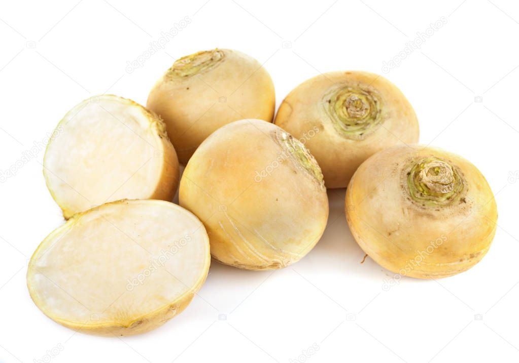 yellow turnip in front of white background