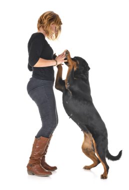 safkan Rottweiler ve beyaz arkaplanın önündeki kadın