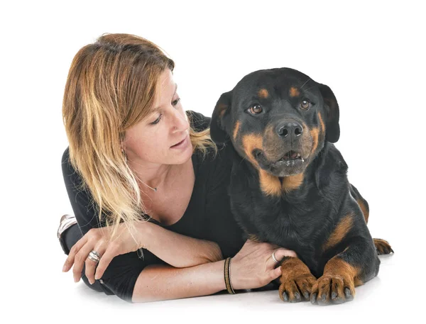 Purebred Rottweiler Mujer Frente Fondo Blanco — Foto de Stock