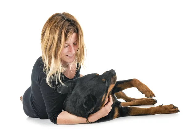 Rottweiler Raça Pura Mulher Frente Fundo Branco — Fotografia de Stock