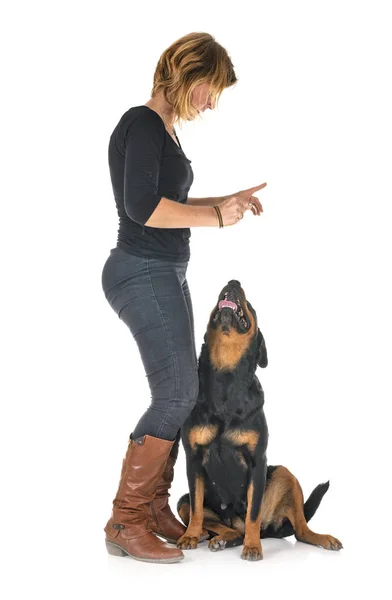 Safkan Rottweiler Beyaz Arkaplanın Önündeki Kadın — Stok fotoğraf