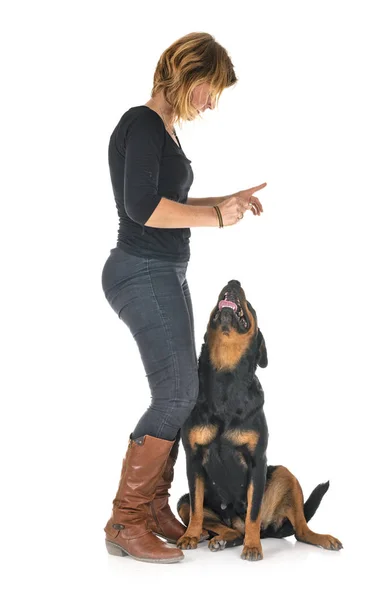 Reinrassige Rottweiler Und Frau Vor Weißem Hintergrund — Stockfoto