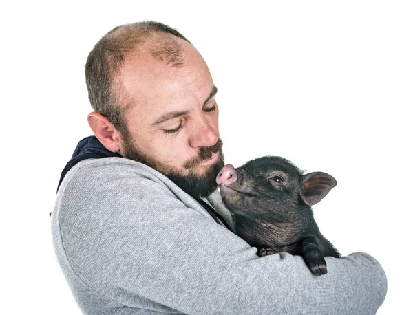 Cerdo Vietnamita Hombre Delante Fondo Blanco — Foto de Stock