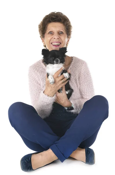 Piccolo Chihuahua Donna Fronte Sfondo Bianco — Foto Stock