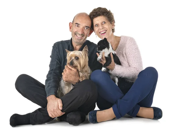 Casal Cães Frente Fundo Branco — Fotografia de Stock